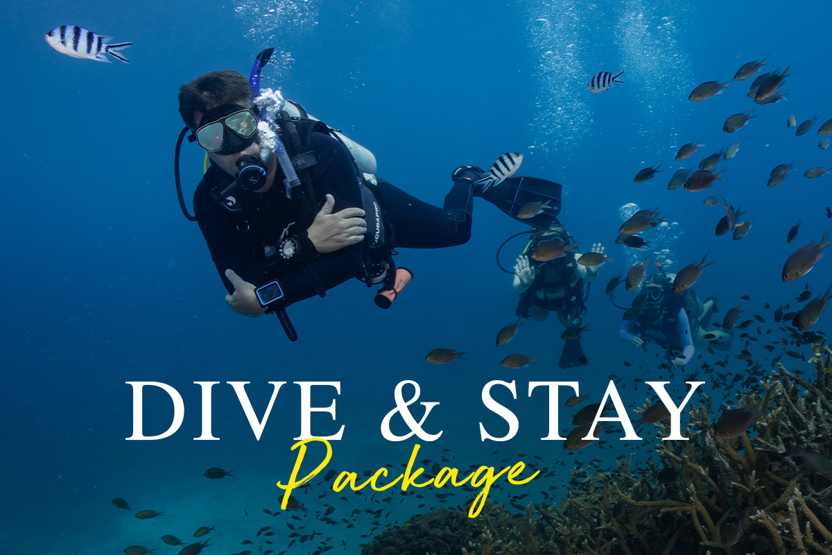 PADI OPEN WATER COURSE