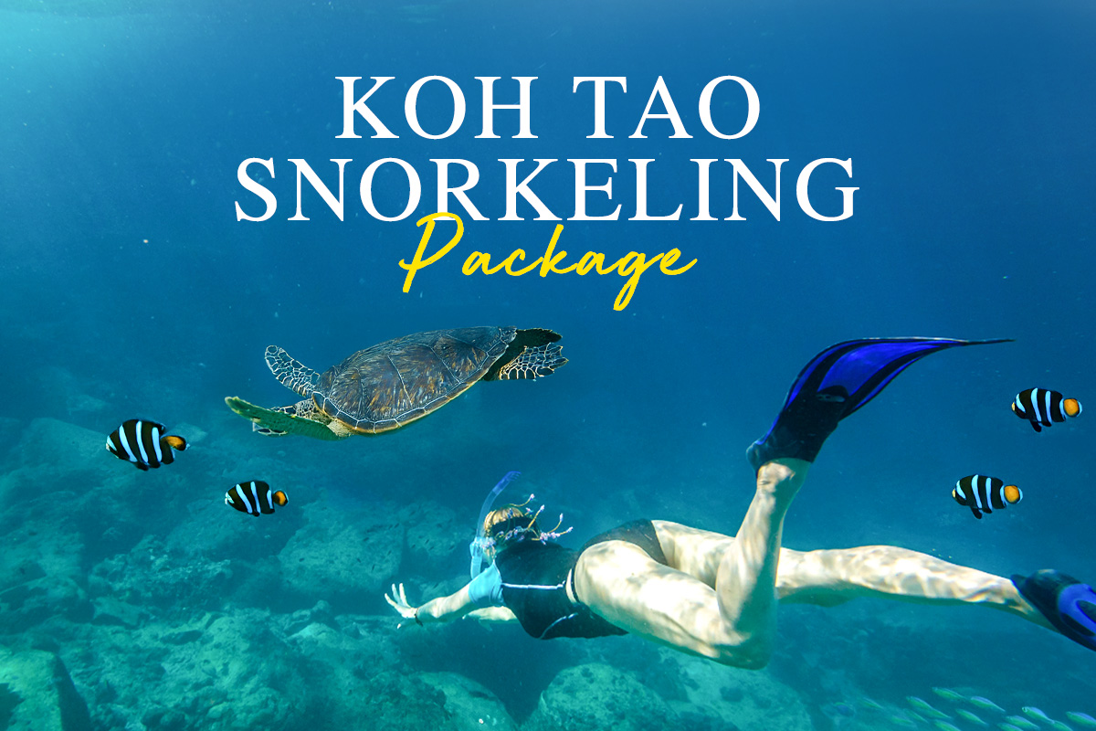 SNORKELING COURSE