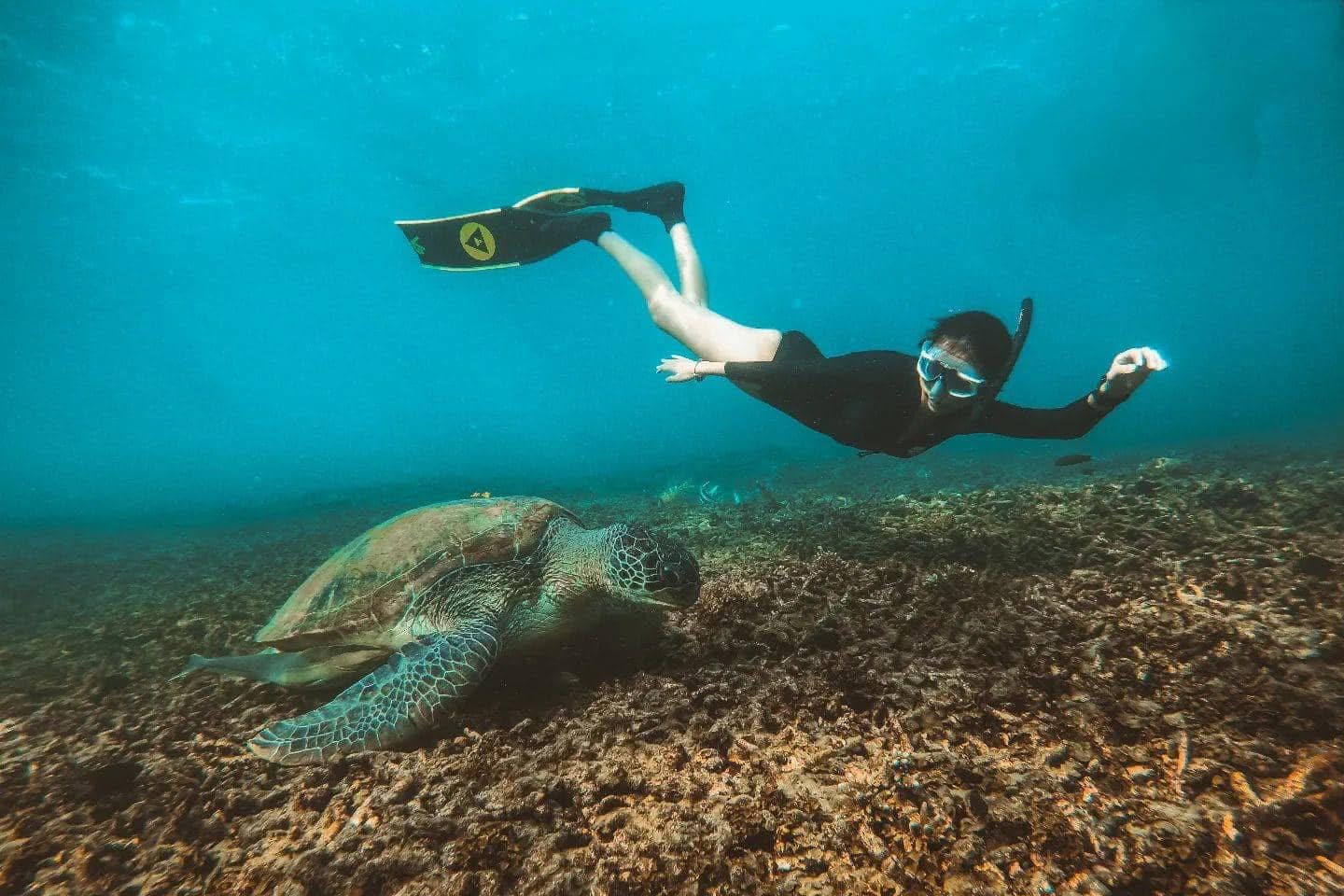 Discover Scuba Diving Koh Tao