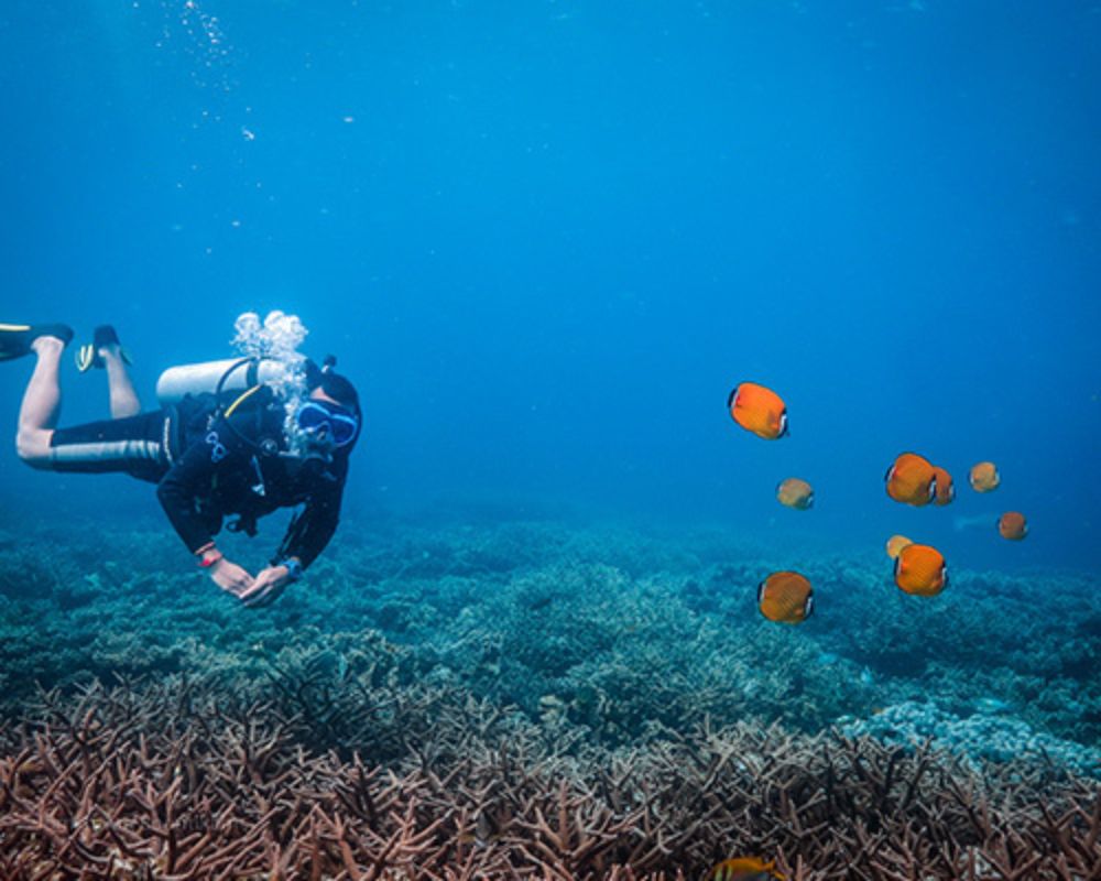 住宿＋潜水套餐：PADI 开放水域潜水课程